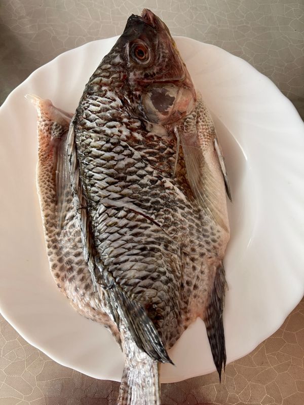 十年陈花雕火腿蒸罗非鱼