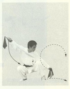 赵堡太极双刀舞花刀图解