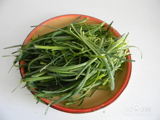 营养主食——胡萝卜韭菜鸡蛋馅饼