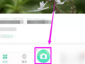 形色app如何上传图片识别
