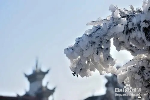 南岳衡山看雾凇攻略