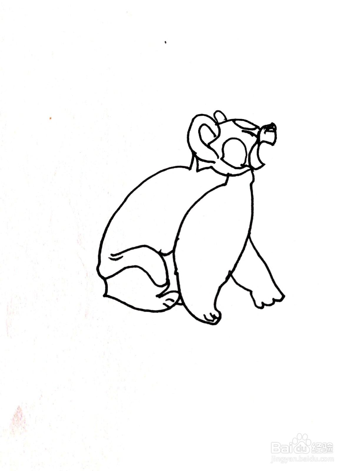 张开嘴巴的小浣熊线描画怎么画