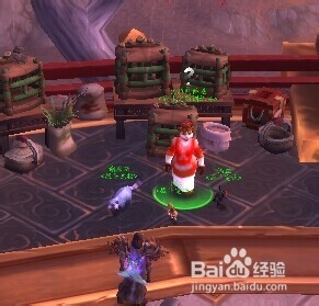 魔兽世界白色小熊猫怎么获得