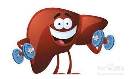 天草丹参茶的功效与服用方法有哪些