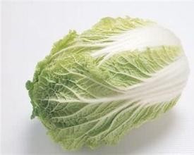 白菜的选购技巧