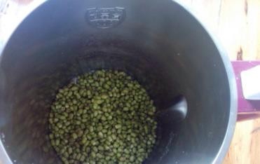 清凉绿豆沙--饮品教程