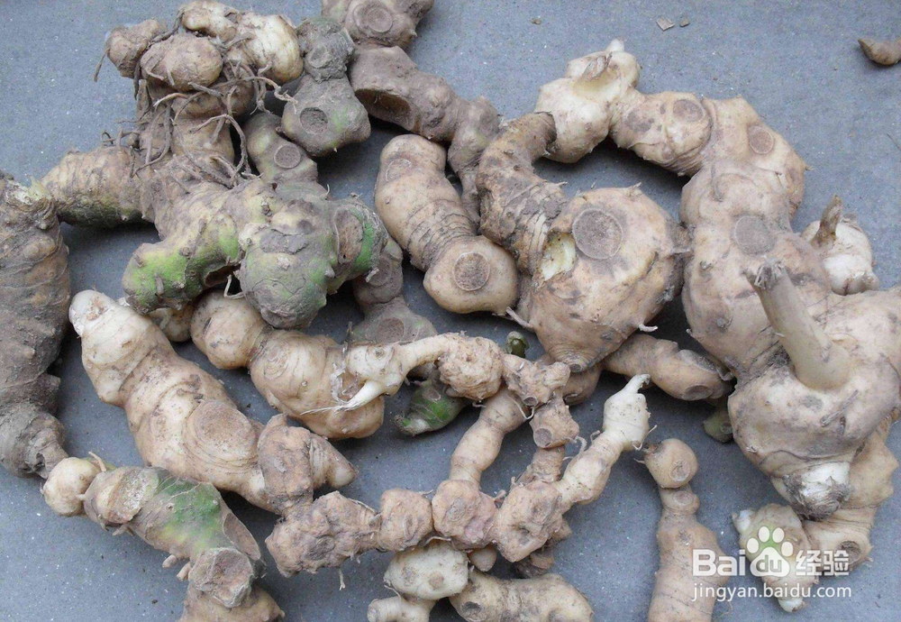 黄精桑葚泡酒的做法