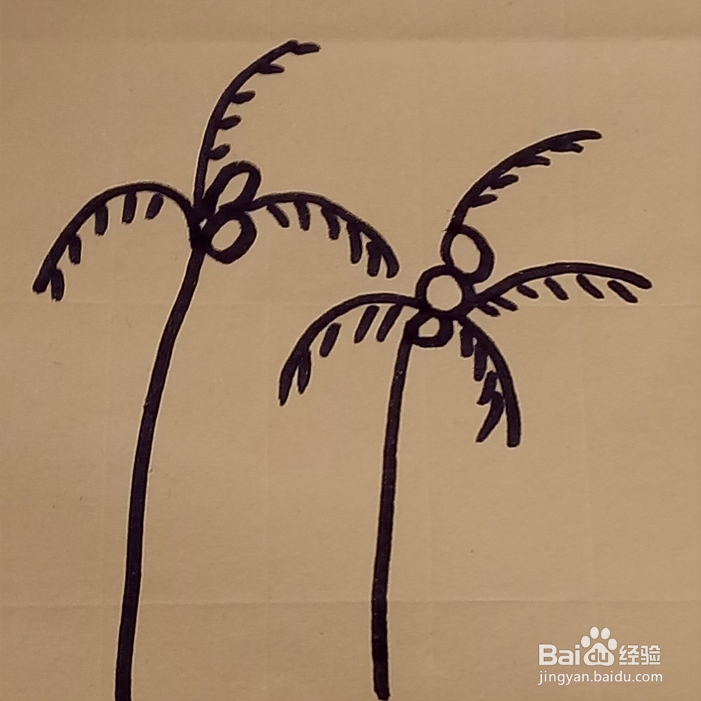 海边的椰子树幼儿线条简单绘画