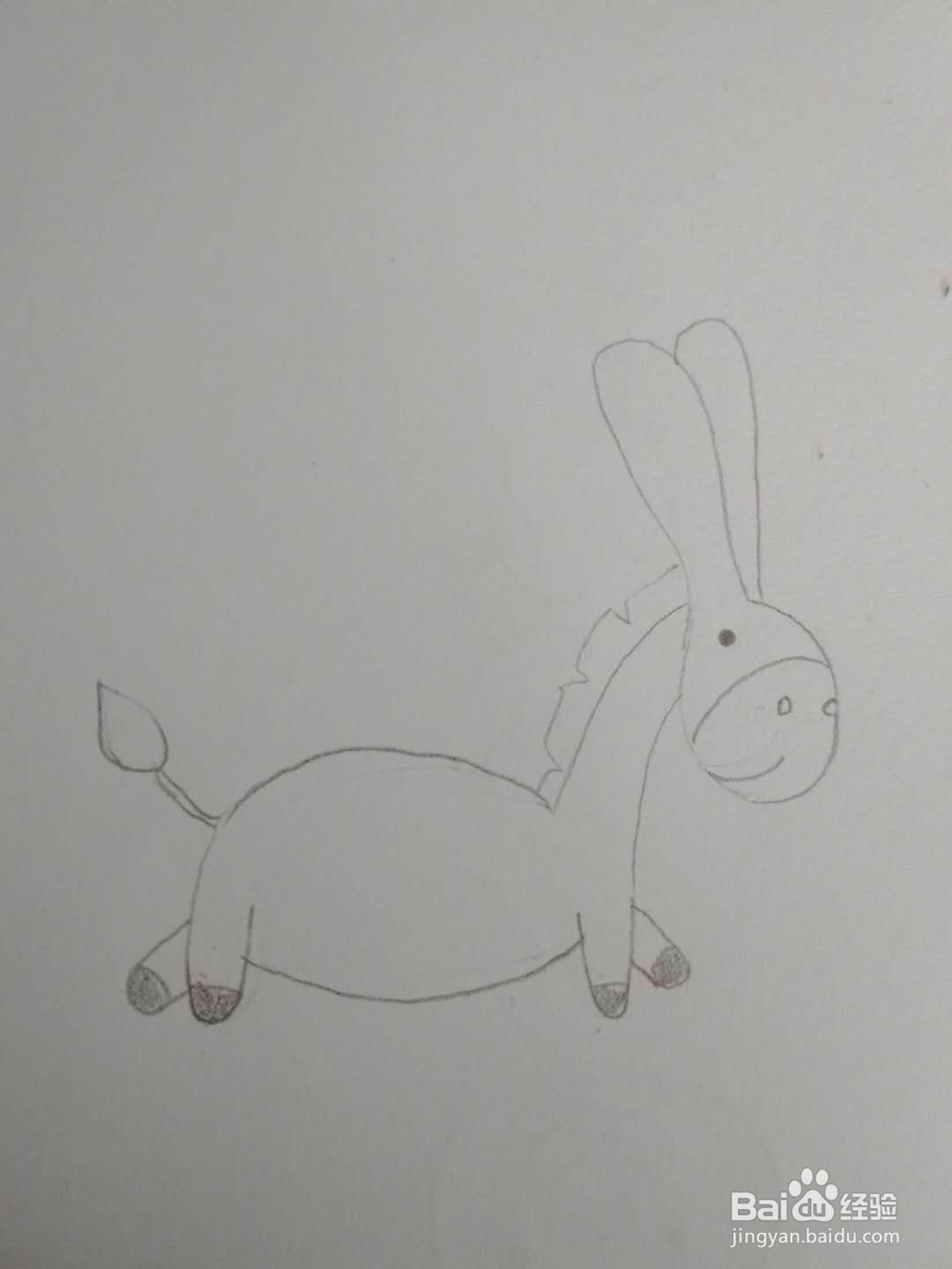 多妈简笔画动物一只顽皮的小毛驴