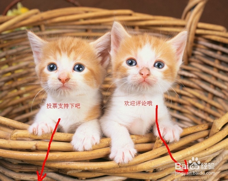 如何查看Opencv中自带内部函数的源代码