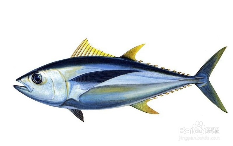 荆门到张家界自驾游