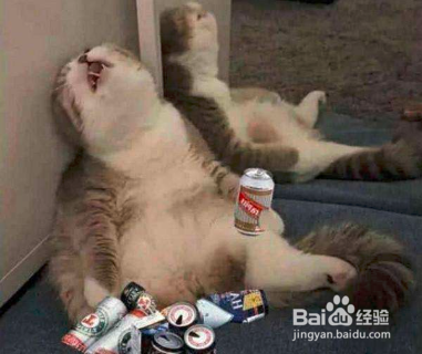 喝醉了怎么解酒最快?喝什么解酒?