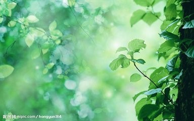 如何为怀孕创造舒适的生活环境