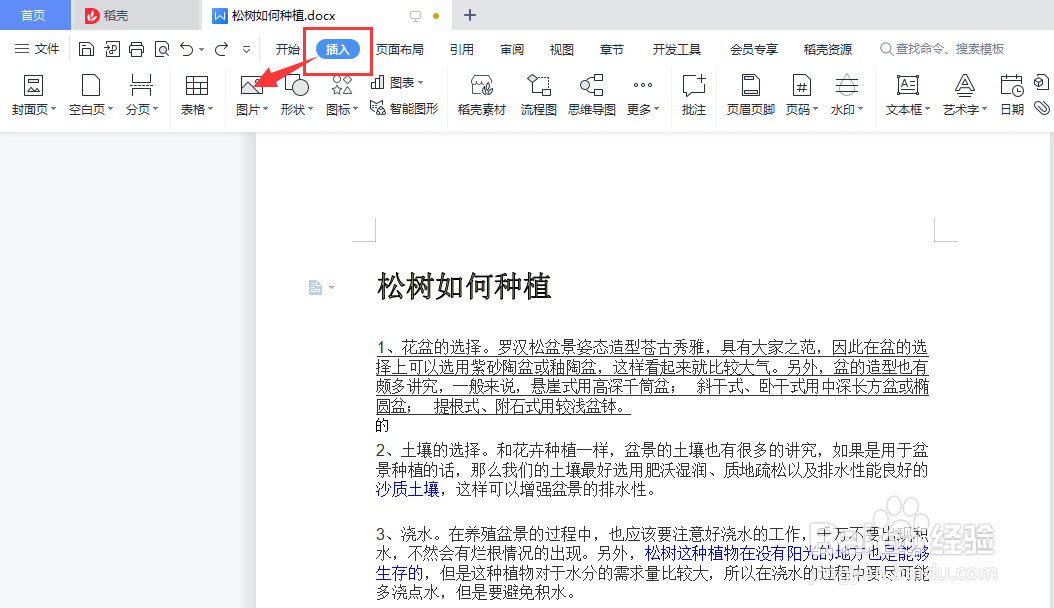 word文档如何插图