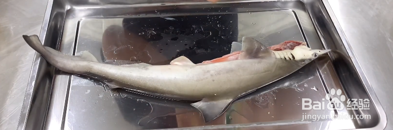 清蒸鲨鱼的做法