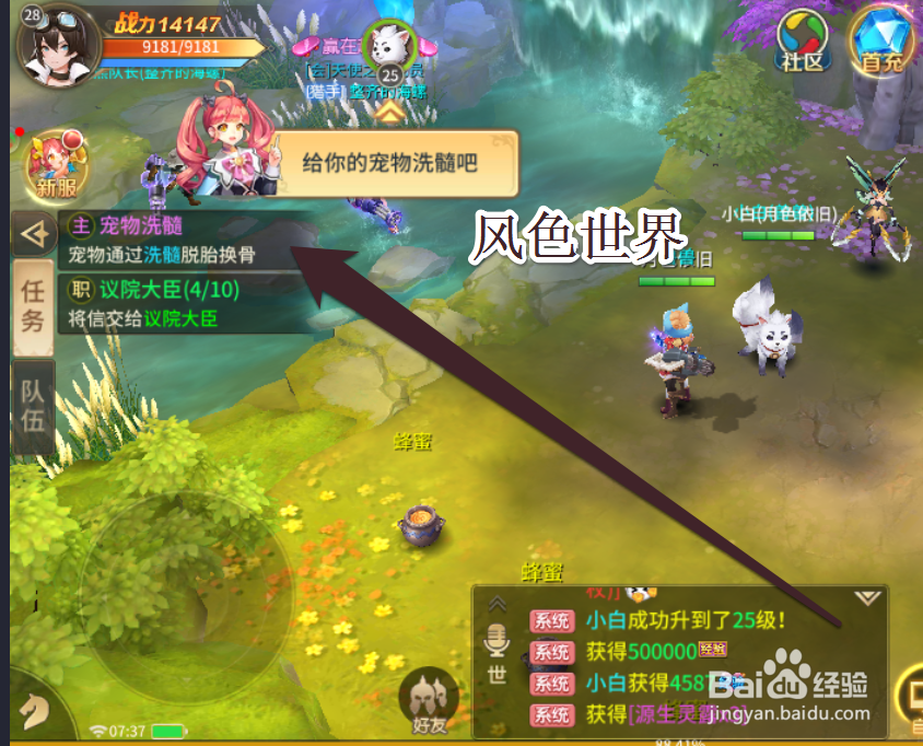 怎样在风色世界中宠物洗髓