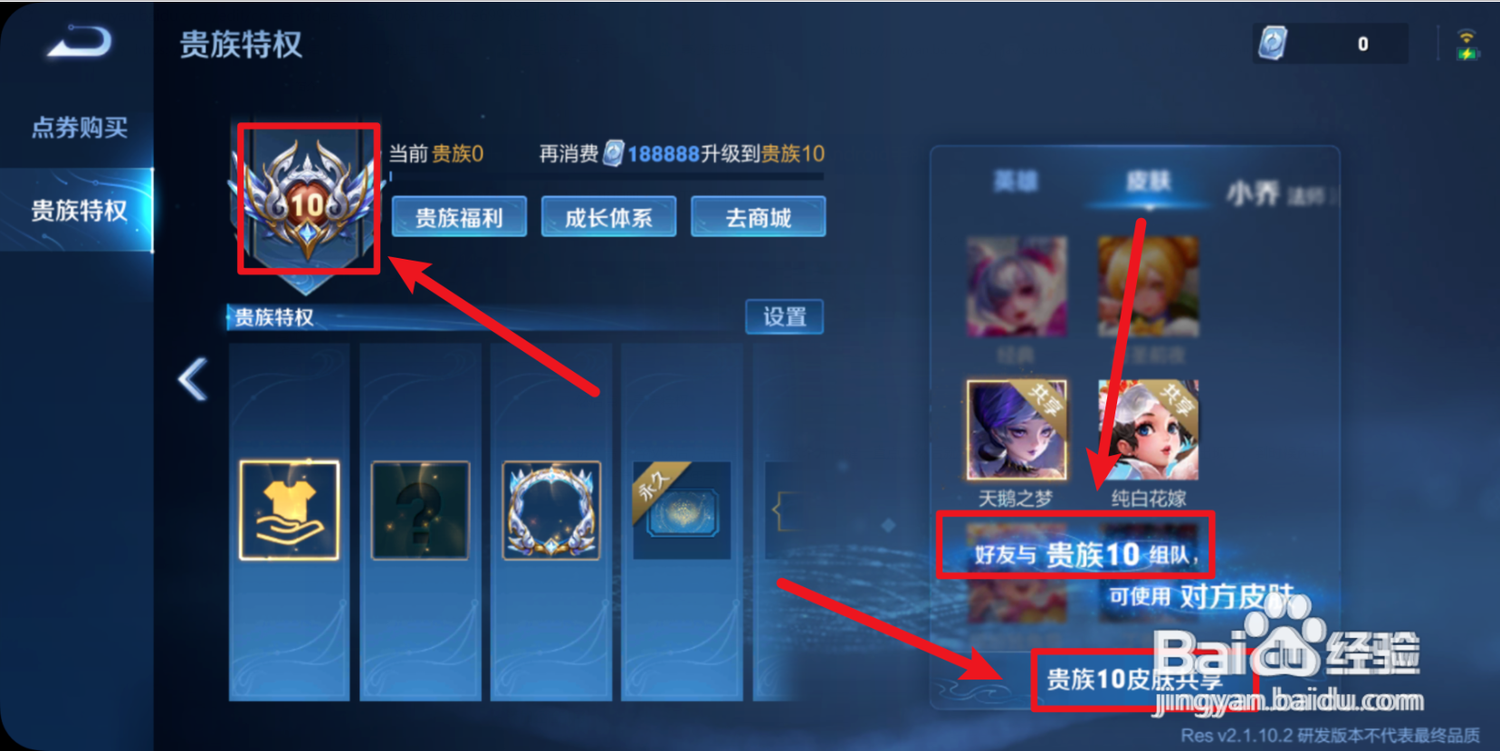 王者荣耀贵族v10共享皮肤