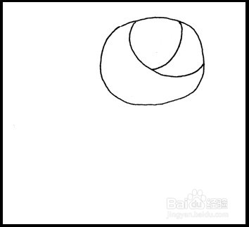 怎样画简笔画（花卉）：[3]玫瑰2