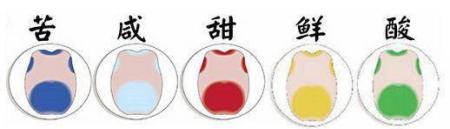 辣从本质上来说，是一种什么感觉