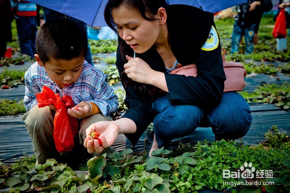 孩子得了自闭症怎么办 儿童孤独症怎么治