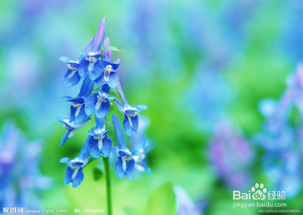 慢性支气管炎分型