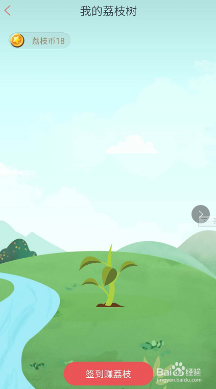 荔枝新闻我的荔枝树如何进行种植