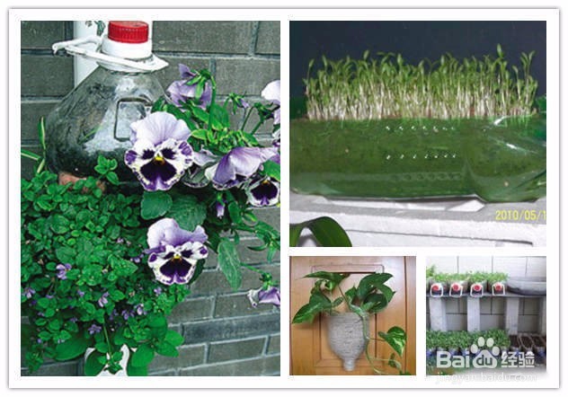 #环保达人#塑料瓶DIY花瓶。