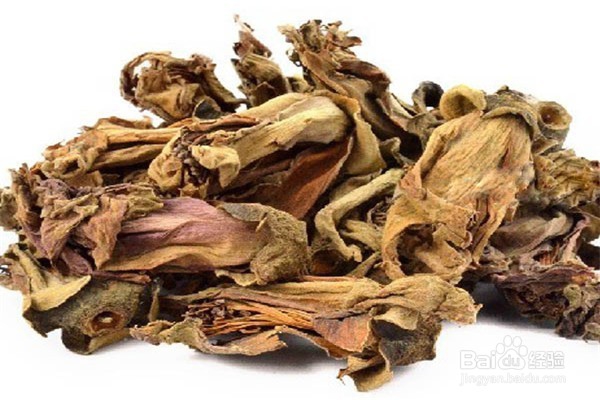 广州木棉花观赏全攻略