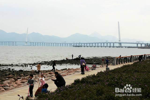 周末到深圳湾公园游玩攻略