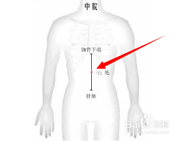 中脘穴位位置图及作用-百度经验