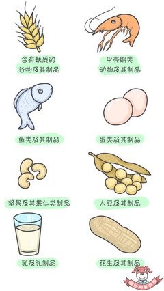 添加辅食的顺序和原则