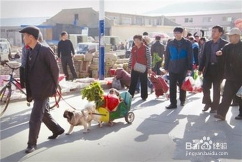 赶集应该注意哪些问题?