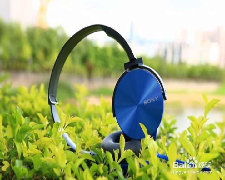 重地入门耳机--索尼 (SONY) MDR-XB450AP评测