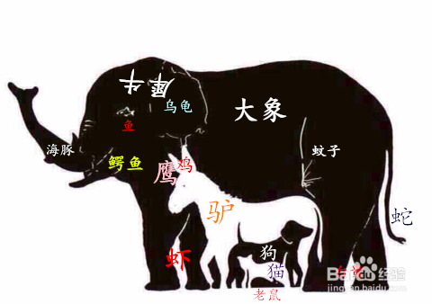 大象图里隐藏的动物？