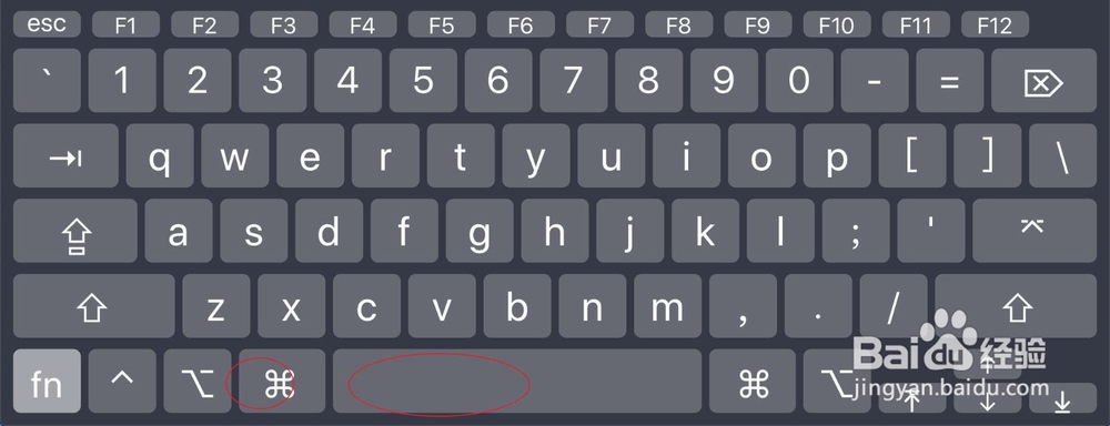 mac系统itunes里面的iphone备份在哪个文件下