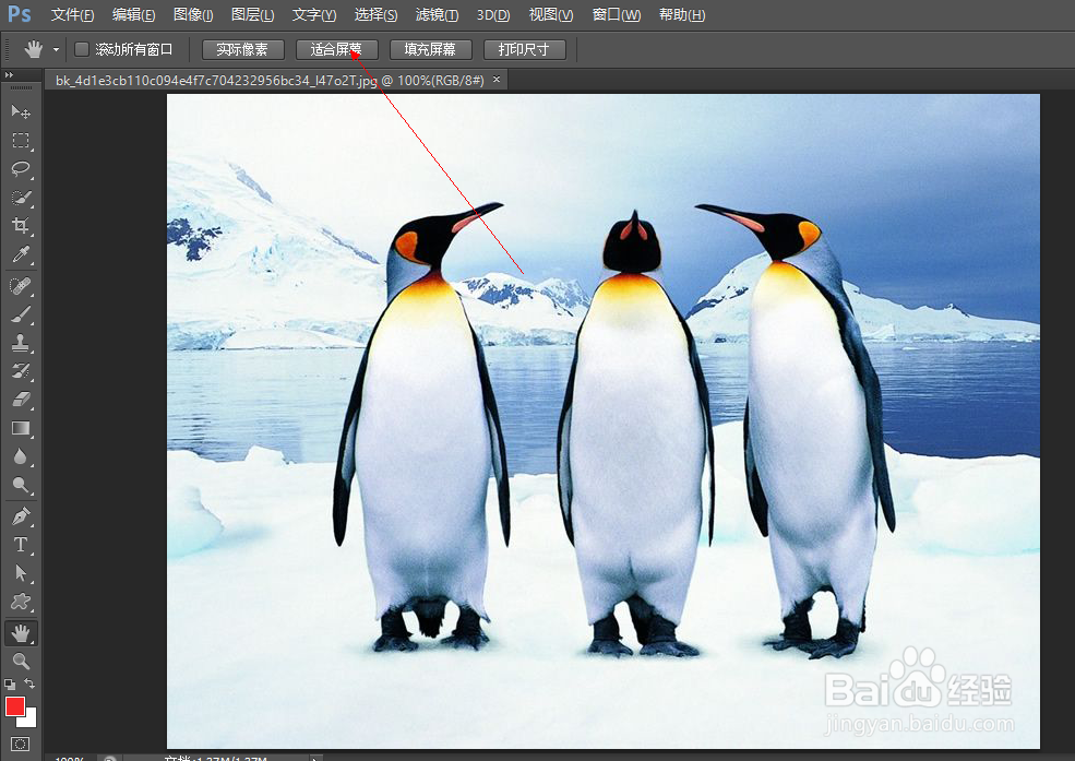 PhotoShop初学者之抓手工具