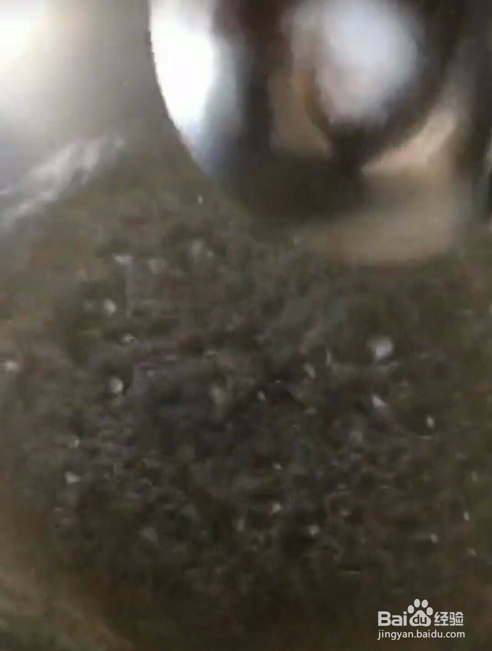 青瓜炒虾仁做法