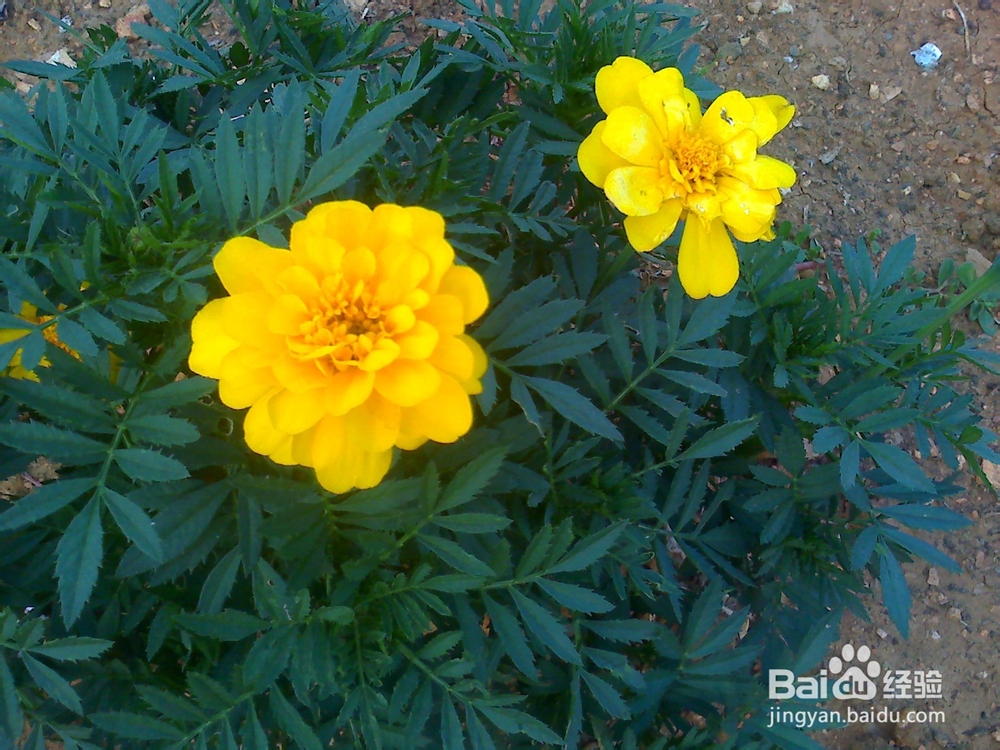 孩子性格内向初中毕业是学专业还是继续读书？