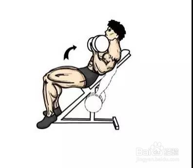 只需一对哑铃,在家锻炼全身肌肉!