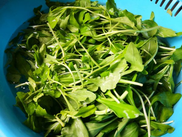 蒜片清炒马兰头