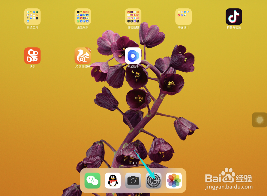 iPad Pro苹果平板电脑缩放怎样设置最高放大级别