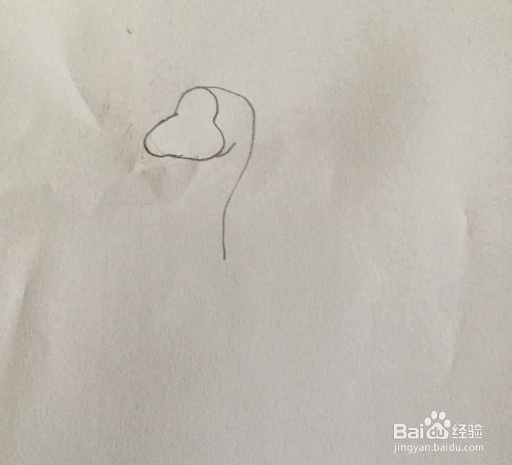 白天鹅简笔画教程