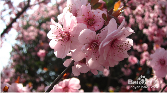 怎样打造简约衣橱