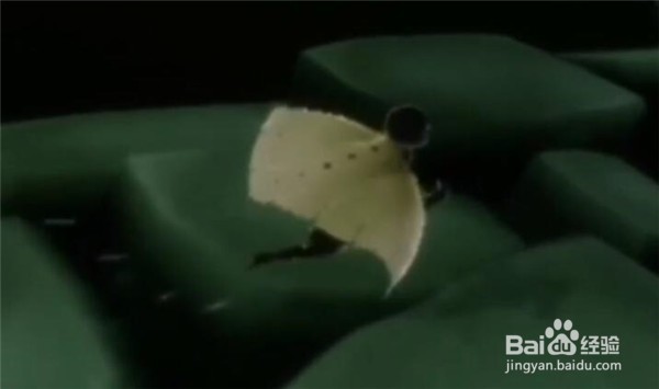 光遇万圣节螃蟹恶作剧任务怎么做