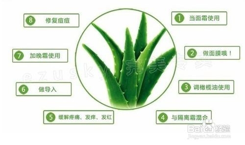 芦荟胶能去痘印吗