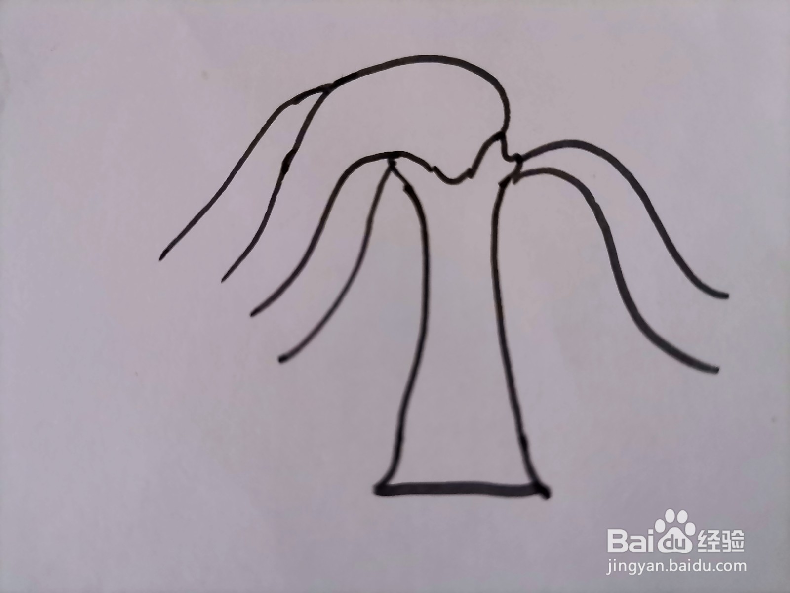 儿童简笔画 一棵柳树