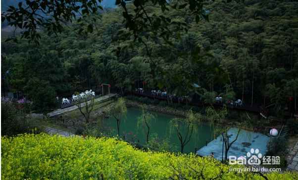 陶潜梦中神仙地，今日现实有妹来