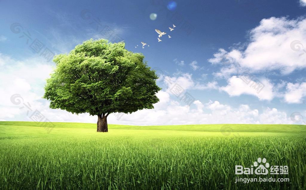 如何写出好文章？