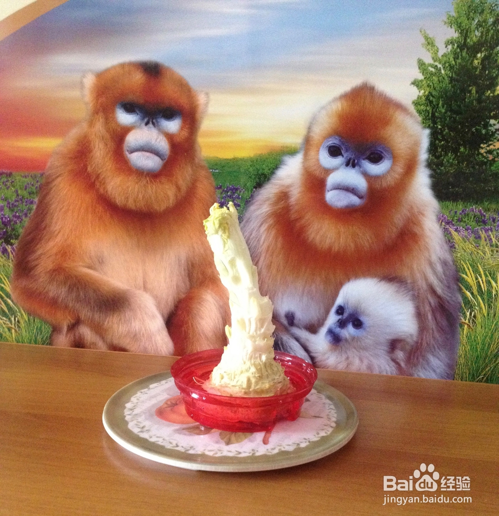 白菜花小盆景——怎样利用废弃物制作盆景