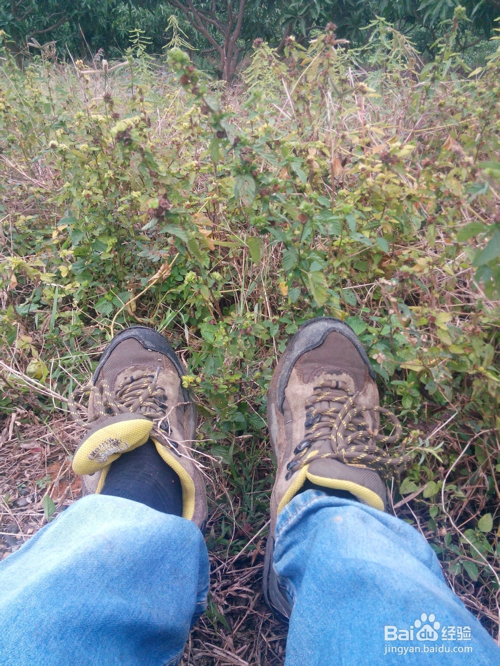 地质类专业出野外应该注意什么?